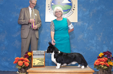 BOB and New GCH July 2014