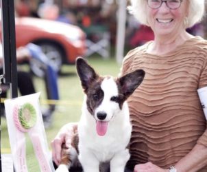 BEST IN SHOW Beginner Puppy – Rory – Version 2